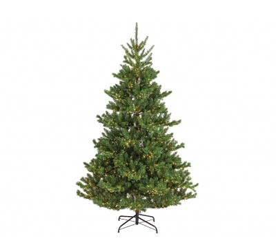 Alba fir Prelit 180cm 